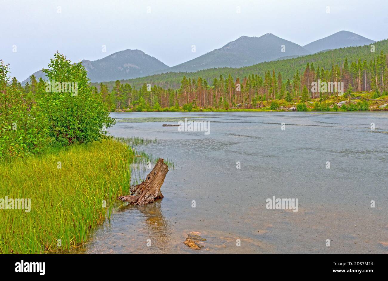 Sprague Lake in un giorno di pioggia a Rocky Mountain National Parco in Colorado Foto Stock