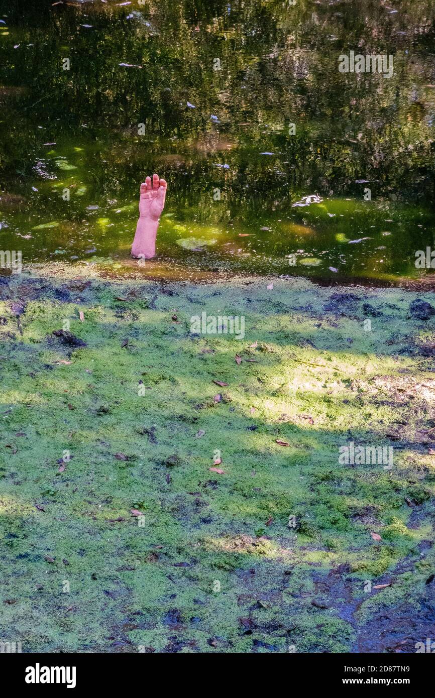 Mano che pocking fuori di acqua di ruscello Foto Stock