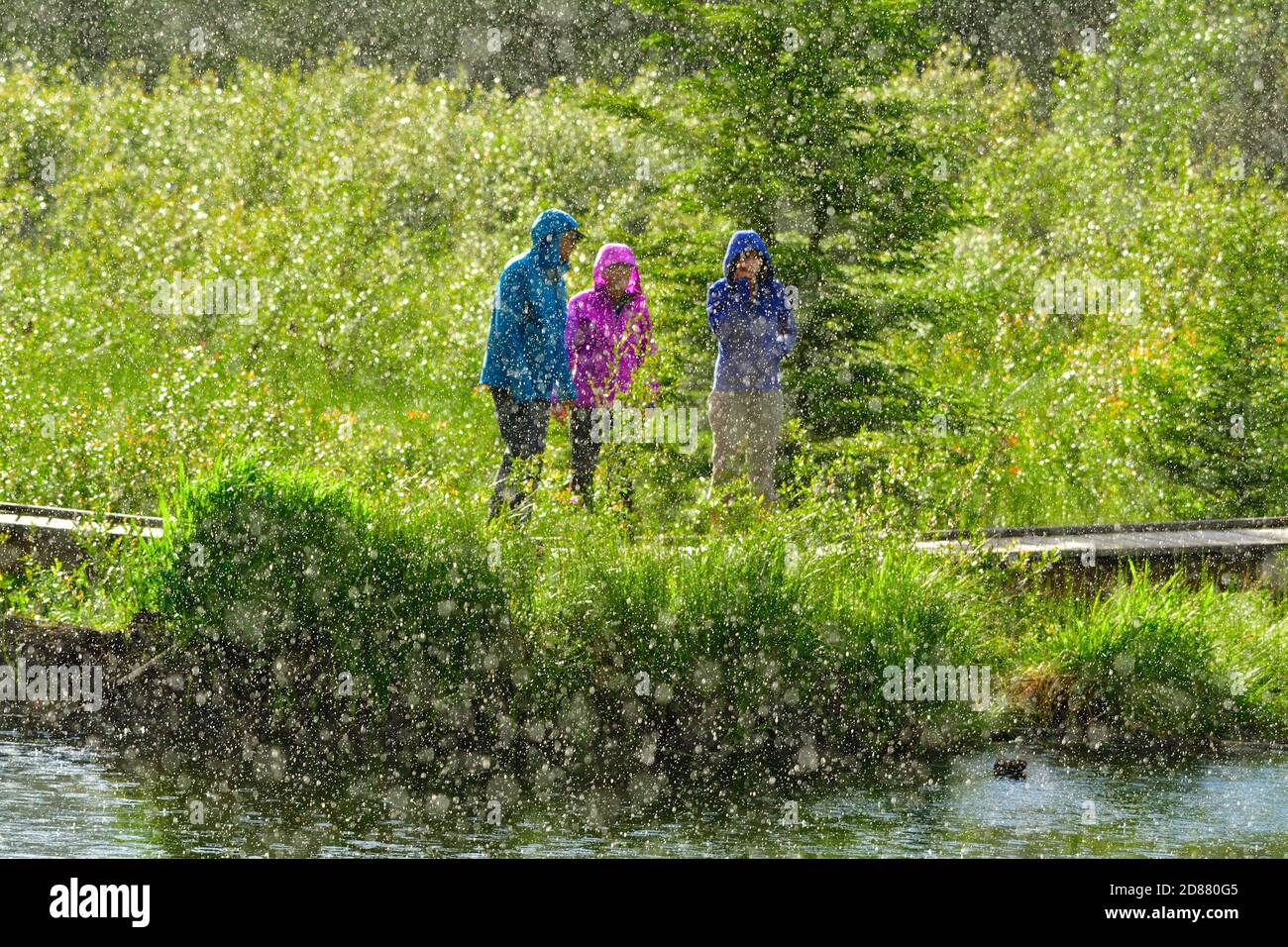 Persone che camminano su un sentiero natura durante una pioggia durante una tempesta estiva nella campagna Alberta Canada. Foto Stock