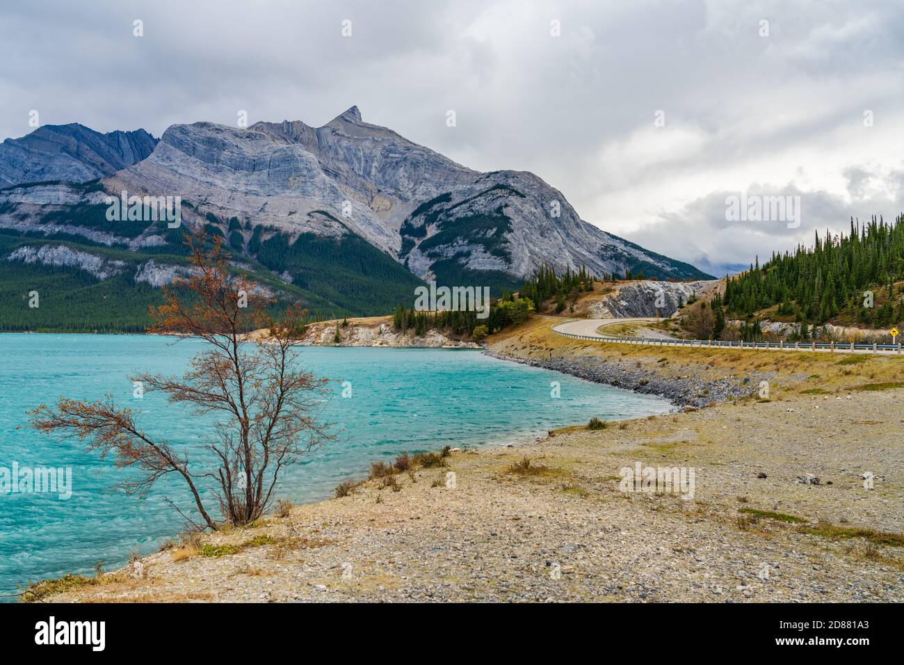 Strada rurale nella foresta con il Monte Michener sullo sfondo. Alberta Highway 11 (David Thompson Hwy) lungo la riva del lago Abraham. Jasper National Foto Stock