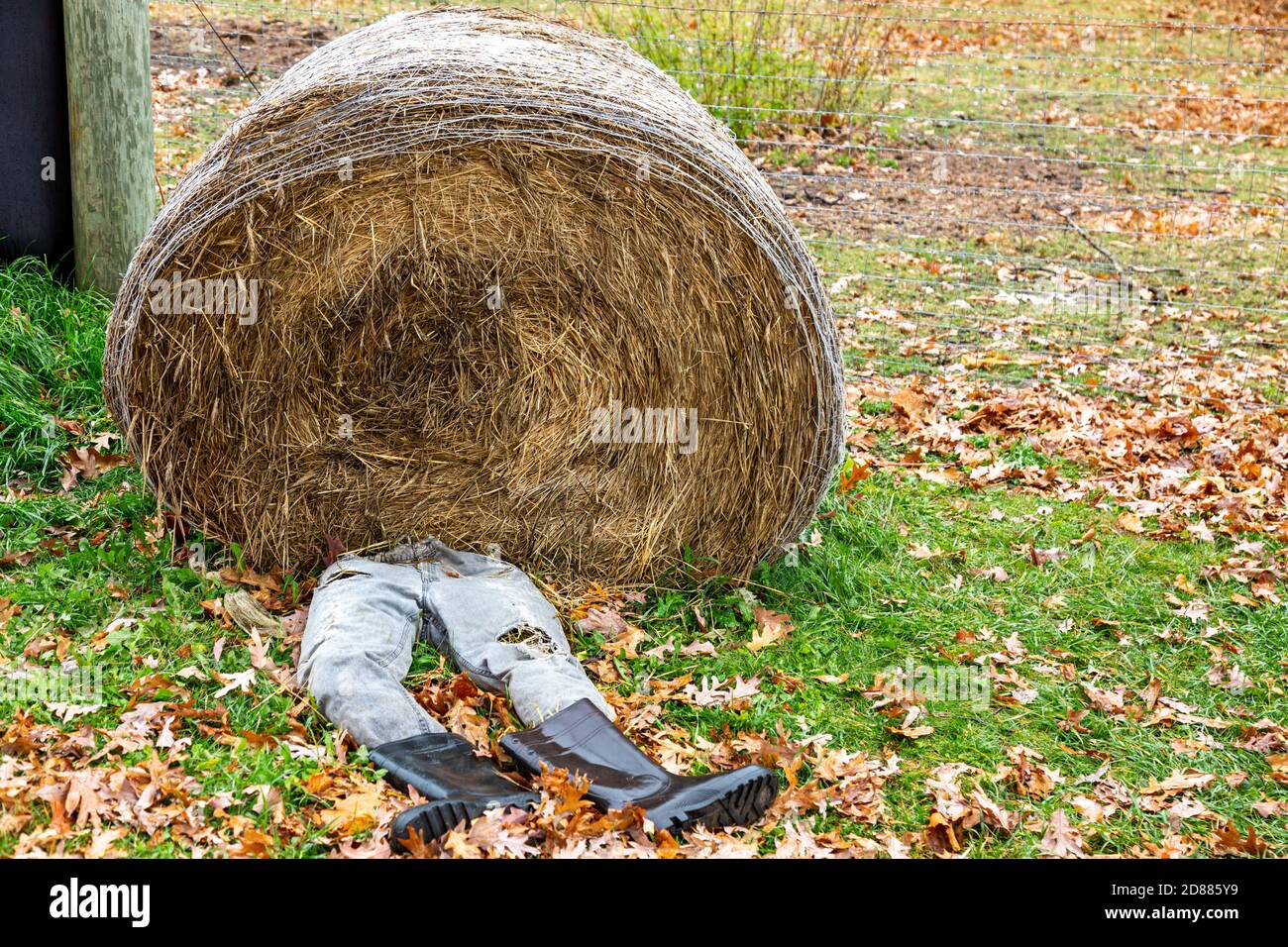 Una tonnellata di fieno sembra aver schiacciato un uomo in questa decorazione di Halloween in una fattoria in Leo-Cedarville, Indiana, Stati Uniti. Foto Stock