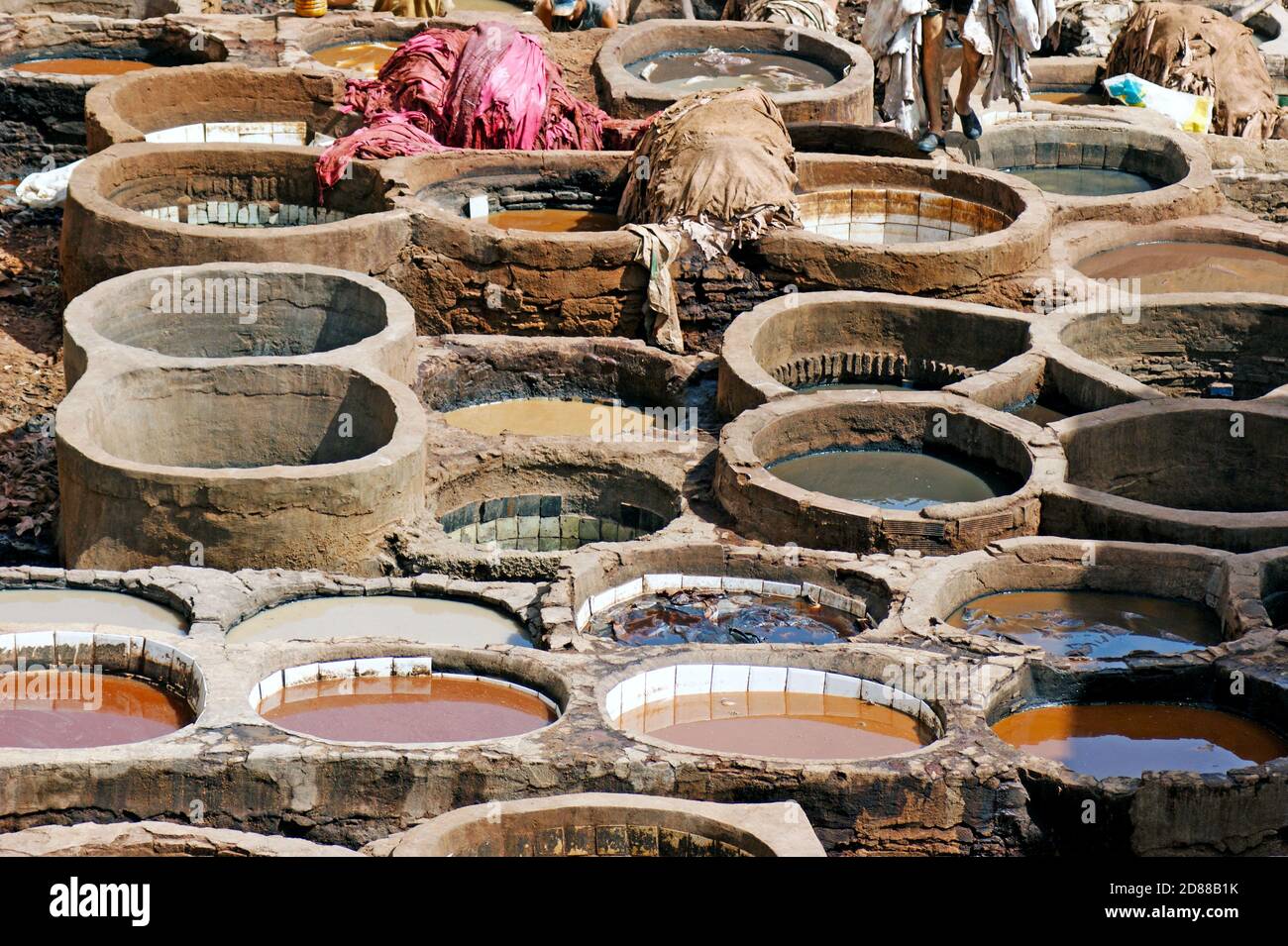 I lavoratori manuali lavorano i tini di pietra della Tanneria Chouara a Fez, Marocco, dove le pelli vengono ammorbidite e tinte per l'industria della pelle. Foto Stock