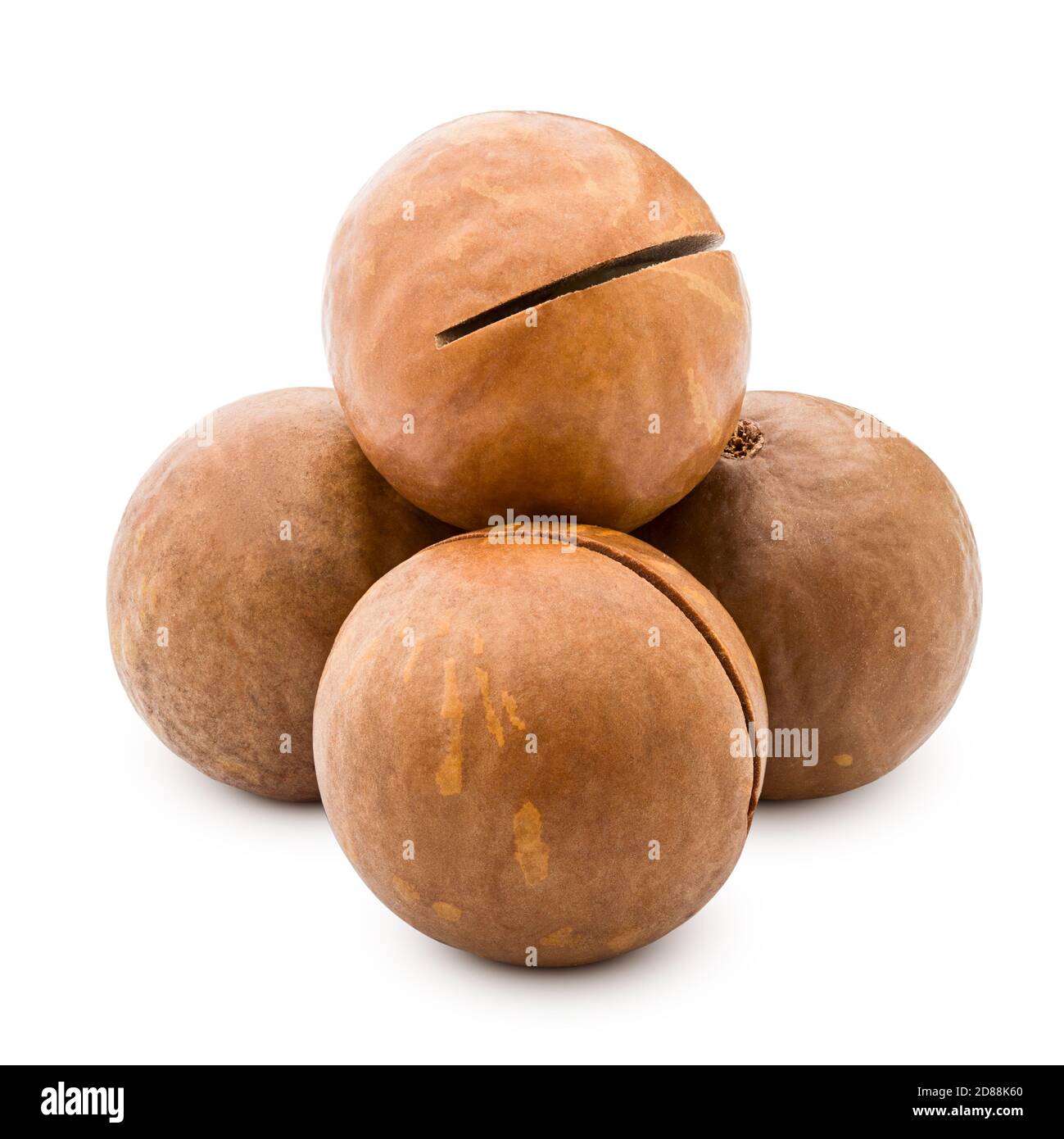 macadamia, noce, isolato su sfondo bianco, tracciato di ritaglio, profondità di campo completa Foto Stock