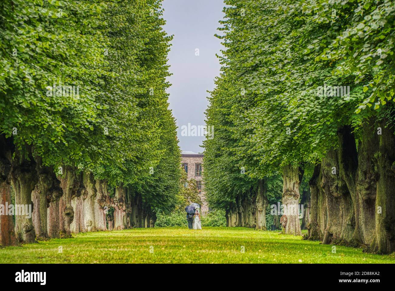 Toccante cerimonia nuziale nel mezzo di un grande viale con alberi alti e verdi durante una giornata piovosa e bagnata con sposo e sposa scambiando i loro voti Foto Stock