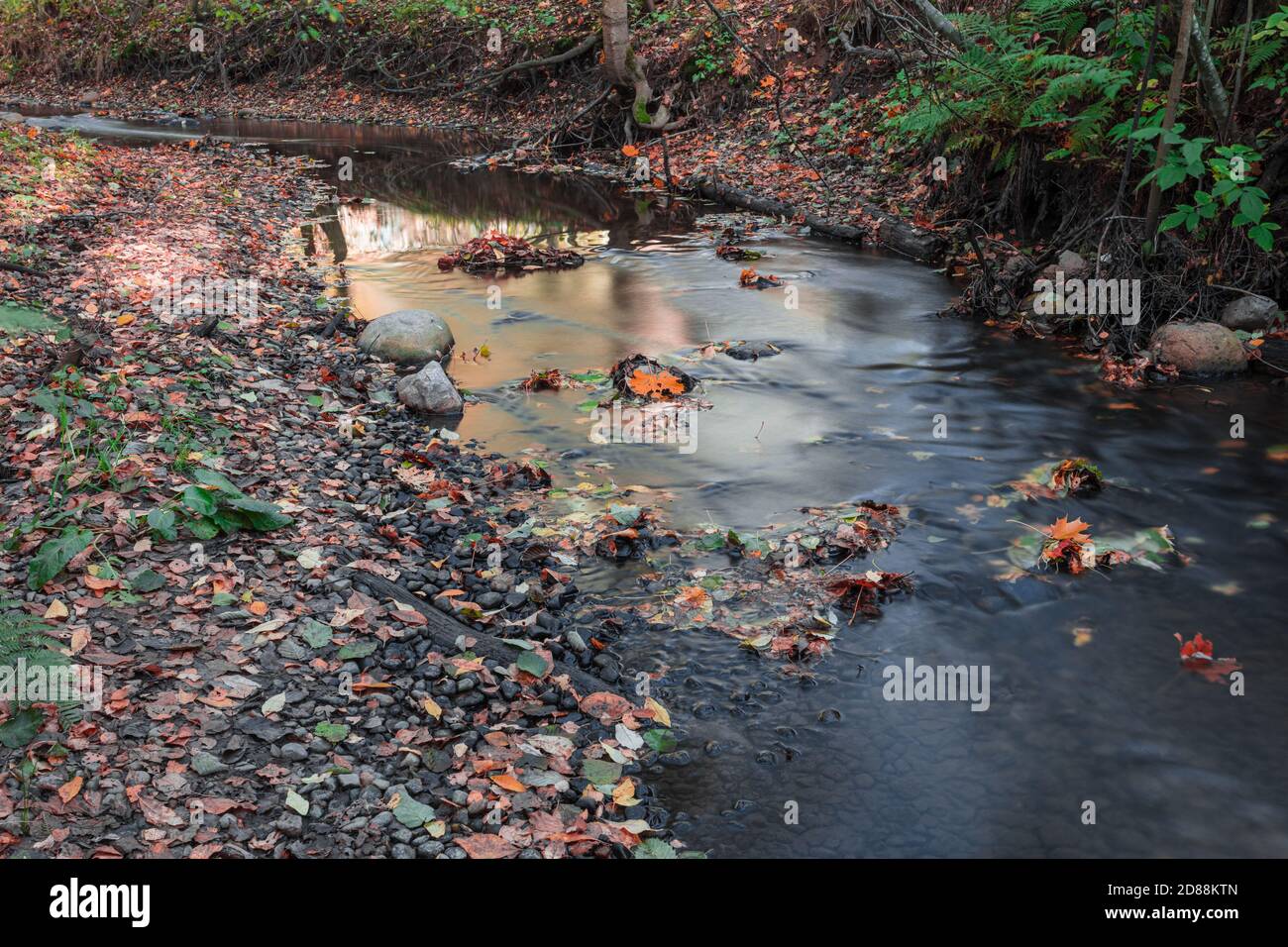Autunno e vista del torrente. Foto di alta qualità Foto Stock