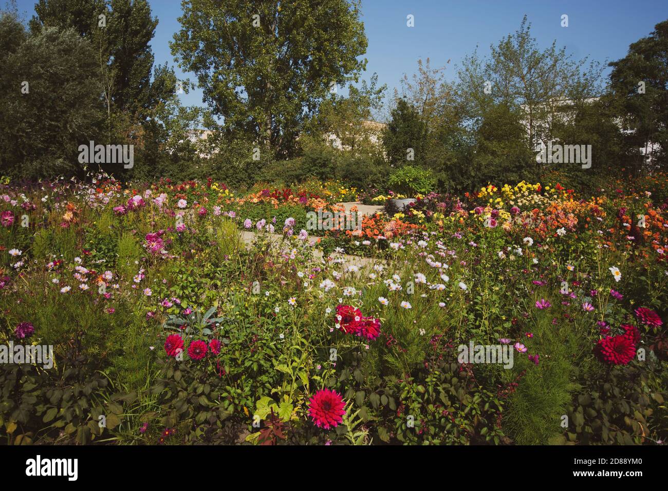 Giardini del mondo, prato dei fiori, Berlino Foto Stock