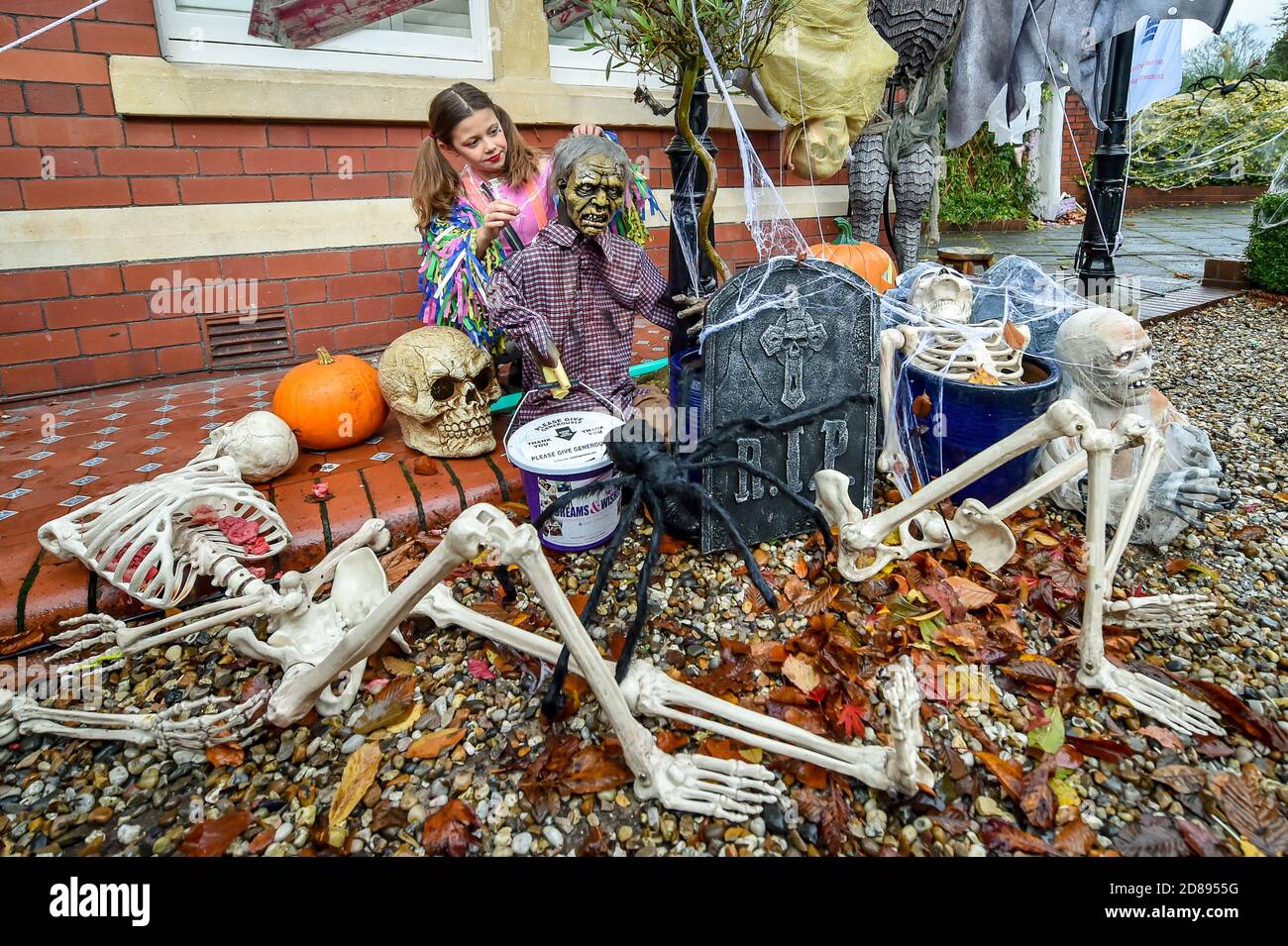 Rosie Hargreaves, 10, mette le reti dei ragni falsi su un ghouls e sui mostri alla sua casa di famiglia in Llandaff, vicino Cardiff, che è decked fuori e adornato con i punteggi delle decorazioni realistiche di Halloween osservanti, installate dal suo padre, Danny Hargreaves, che lavora in effetti speciali della TV. Foto Stock