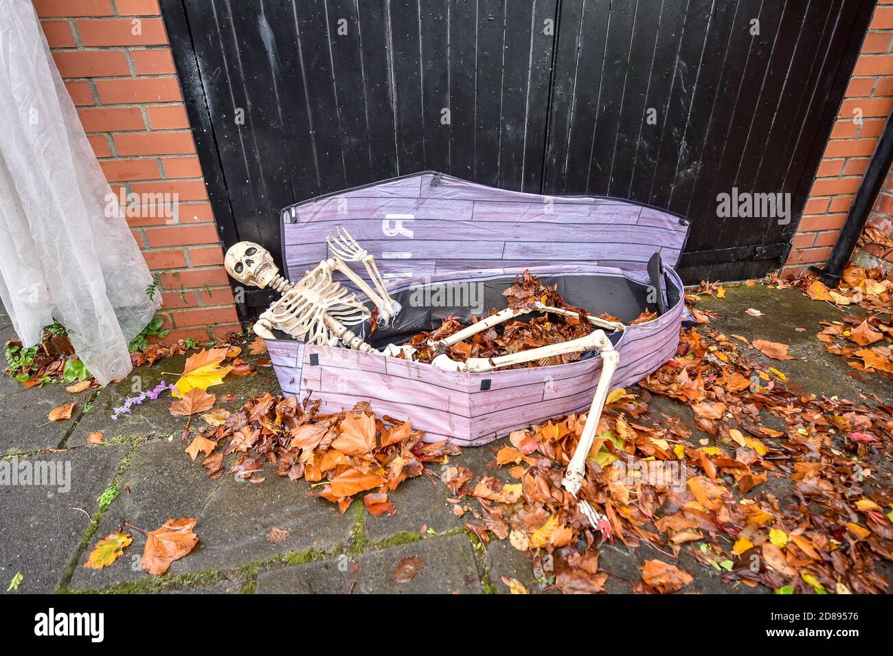 La casa della famiglia Hargreaves a Llandaff, vicino a Cardiff, è decorata e adornata con decine di decorazioni realistiche di Halloween, installato da Danny Hargreaves, che lavora in TV effetti speciali. Foto Stock