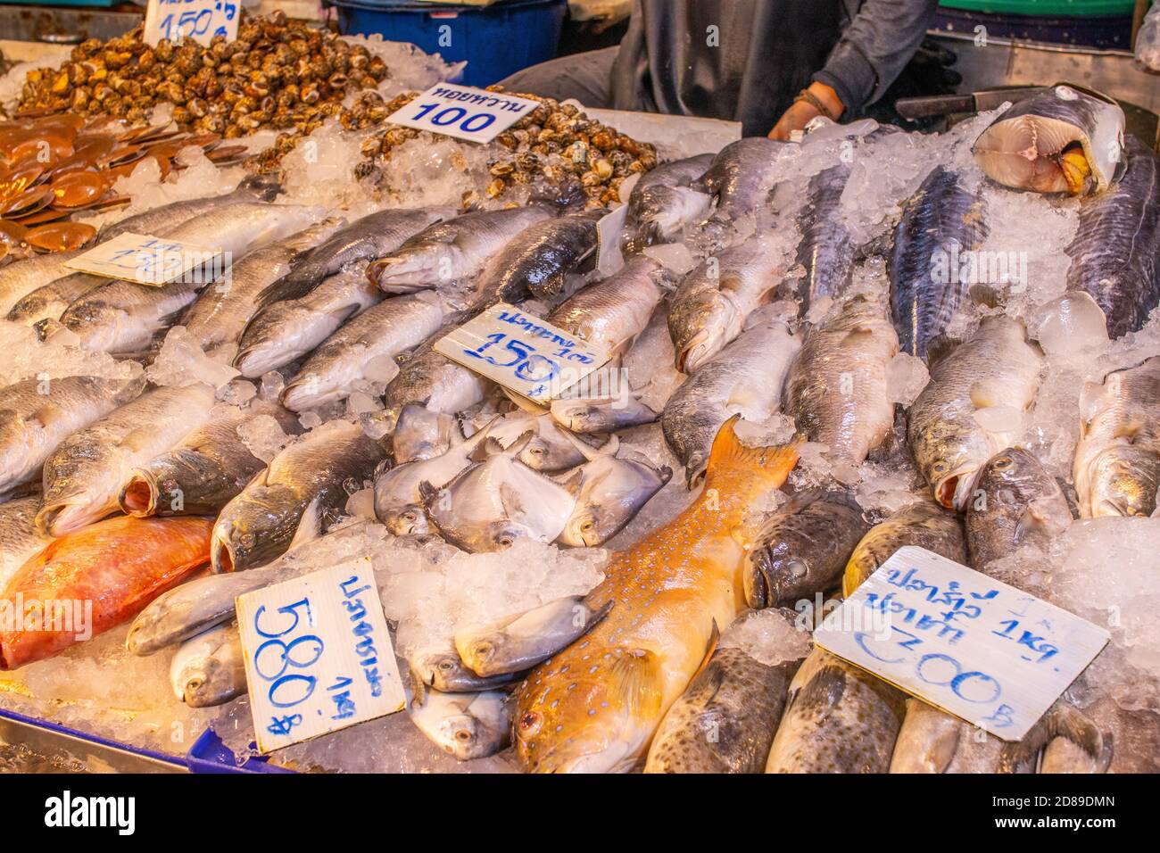 Mercato di pesce Naklua vicino Pattaya Foto Stock