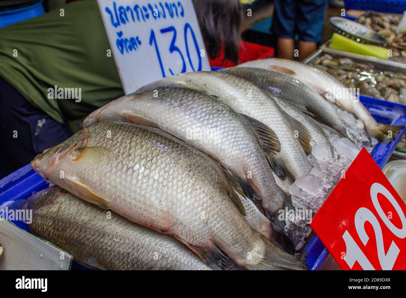 Mercato di pesce Naklua vicino Pattaya Foto Stock