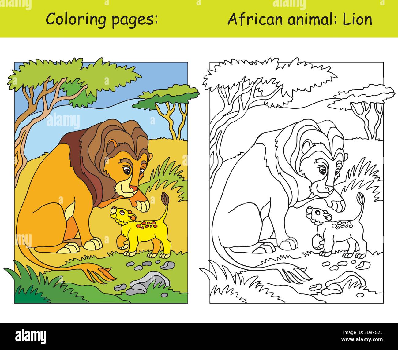 Pagine vettoriali da colorare con la famiglia leone carina in area africana. Cartoon isolato illustrazione colorata. Colorazione e immagine colorata del leone. Per colorazione Illustrazione Vettoriale