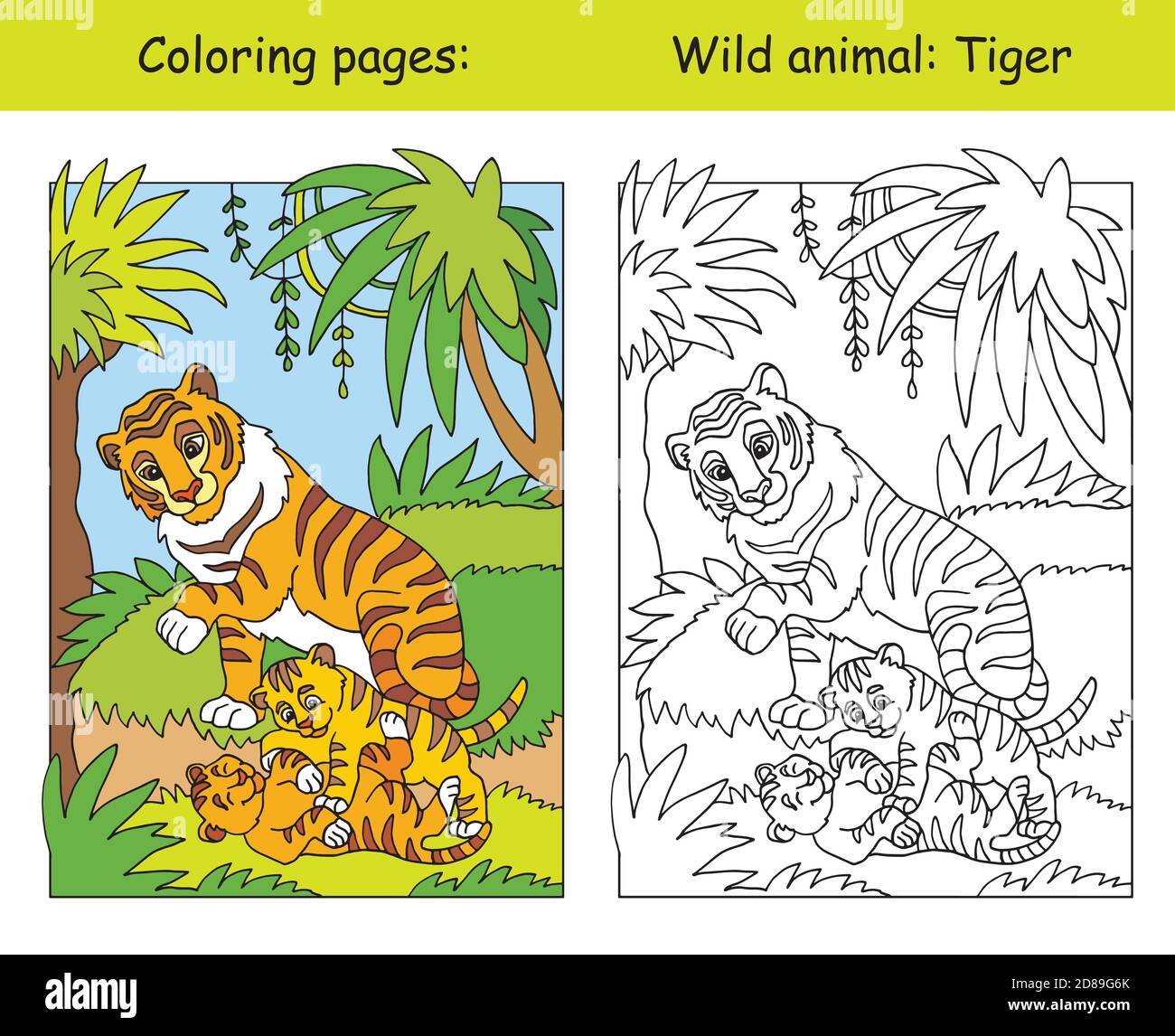 Vettore colorazione pagine con carino tigre famiglia in foresta. Cartoon isolato illustrazione colorata. Colorazione e immagine colorata della tigre. Per colorare libro Illustrazione Vettoriale