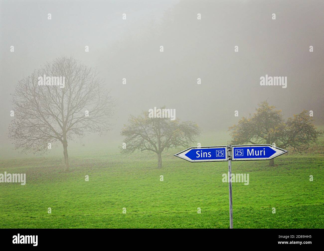 Cartelli stradali per Sins e muri, Svizzera Foto Stock