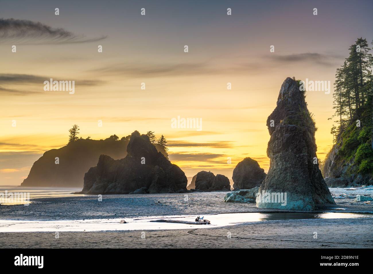 Il Parco nazionale di Olympic, Washington, Stati Uniti d'America al Ruby spiaggia al tramonto. Foto Stock