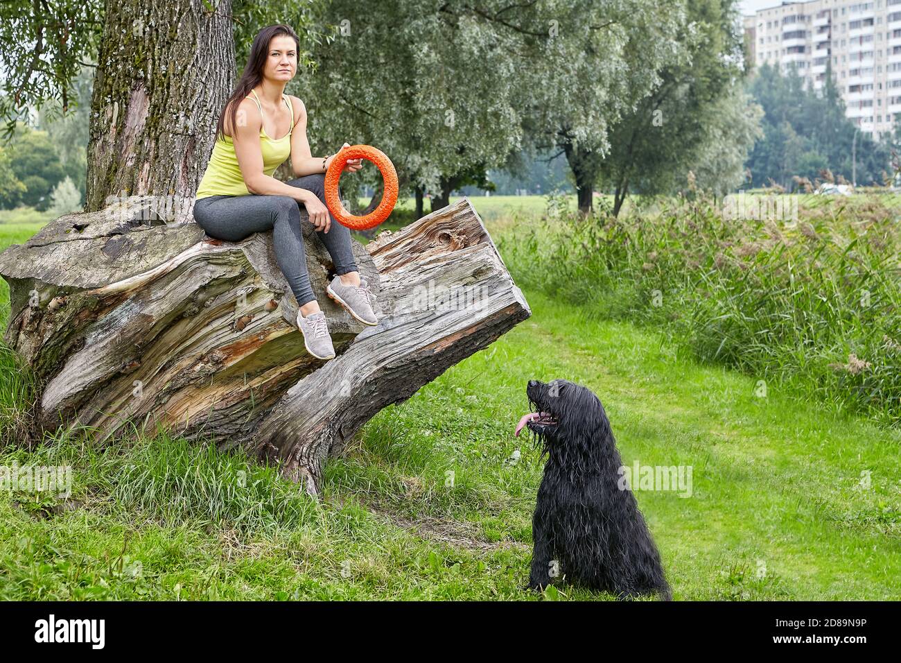 La proprietaria femminile gioca con la sposa nel parco. Foto Stock