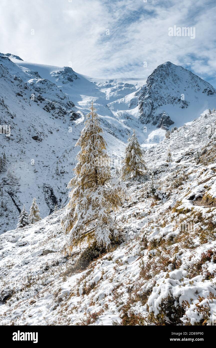 Paesaggio invernale incontaminato in Vallée du Trient, Vallese Foto Stock