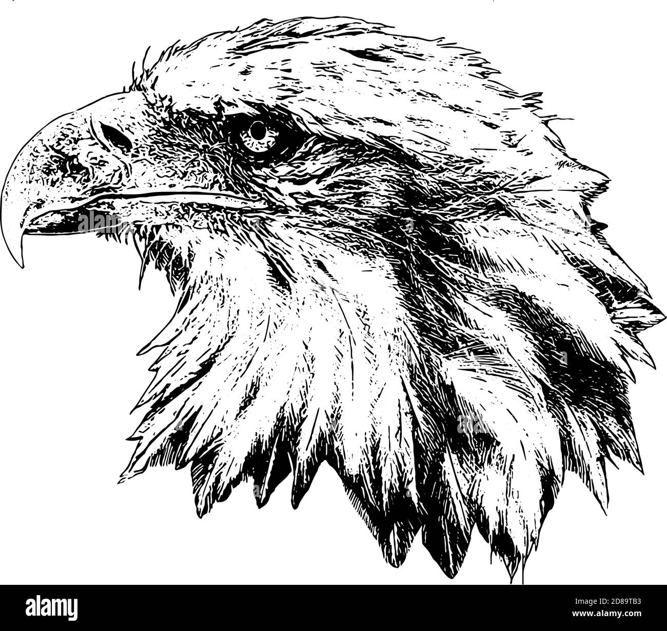 grafica vettoriale del profilo della testa dell'aquila calva americana Illustrazione Vettoriale
