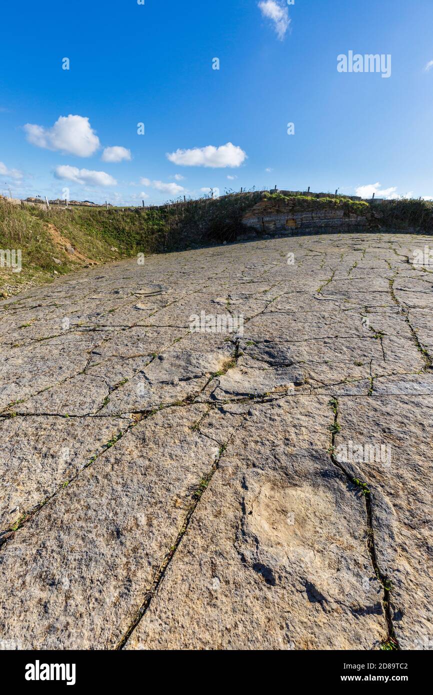 Impronte di dinosauro a Keates Quarry sulla Jurassic Coast vicino a Langton Matravers in Dorset, Inghilterra Foto Stock