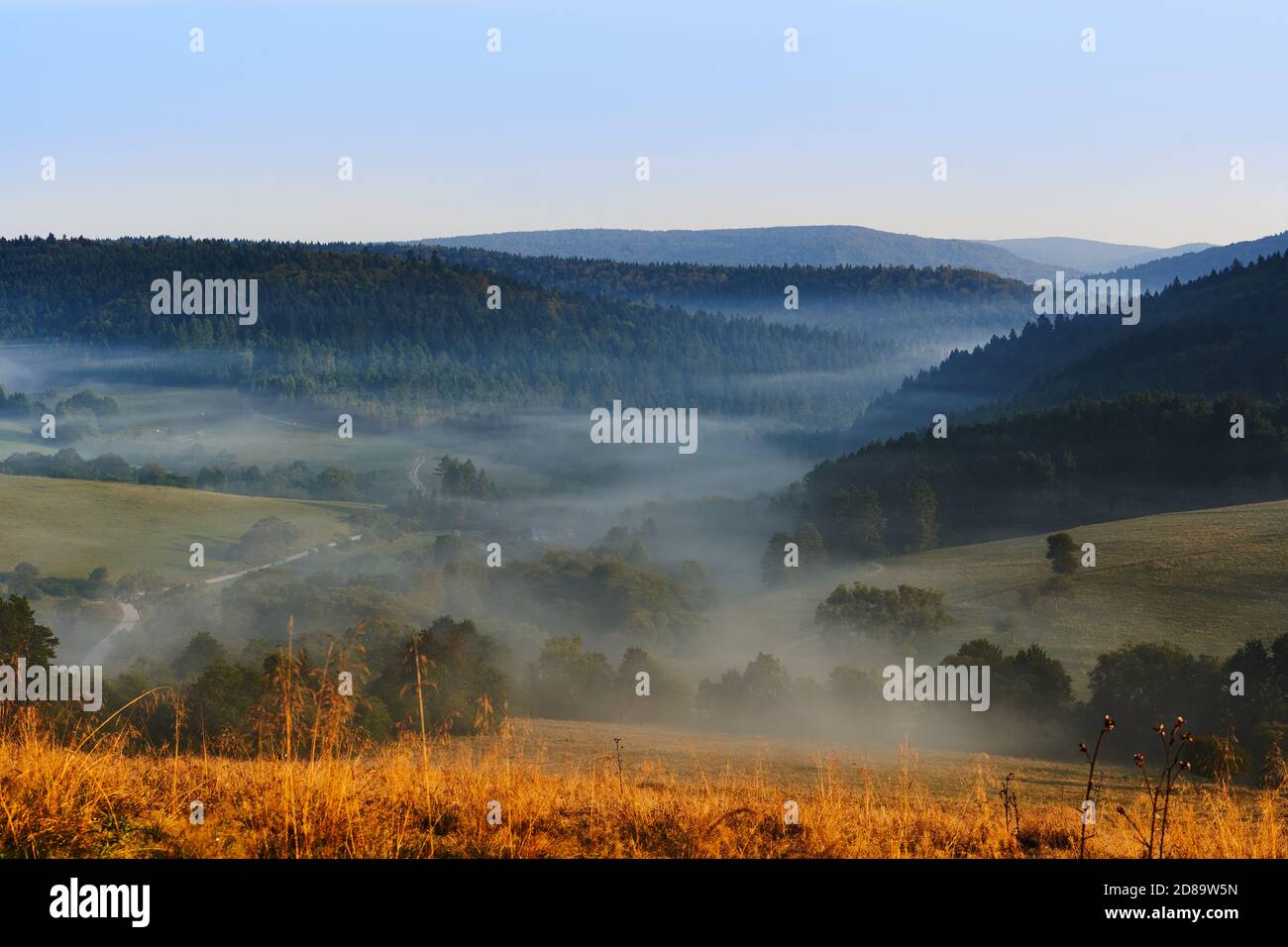 Viev di bella nebbia al mattino. Alberi all'ombra della nebbia. Bellissimo paesaggio delle montagne Beskidy, Polonia Foto Stock