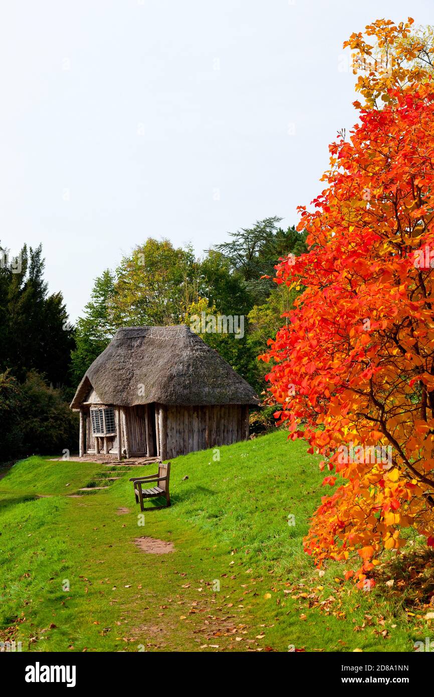 Il tetto di paglia Bear House e lo splendido colore autunnale nei terreni di Killerton House, nr Exeter, Devon, Inghilterra, Regno Unito Foto Stock