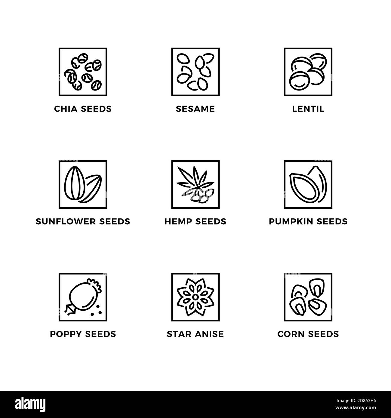 Insieme vettoriale di elementi di disegno, modello di disegno del logo, icone e badge per i semi. Set di icone di linea, tratto modificabile. Illustrazione Vettoriale