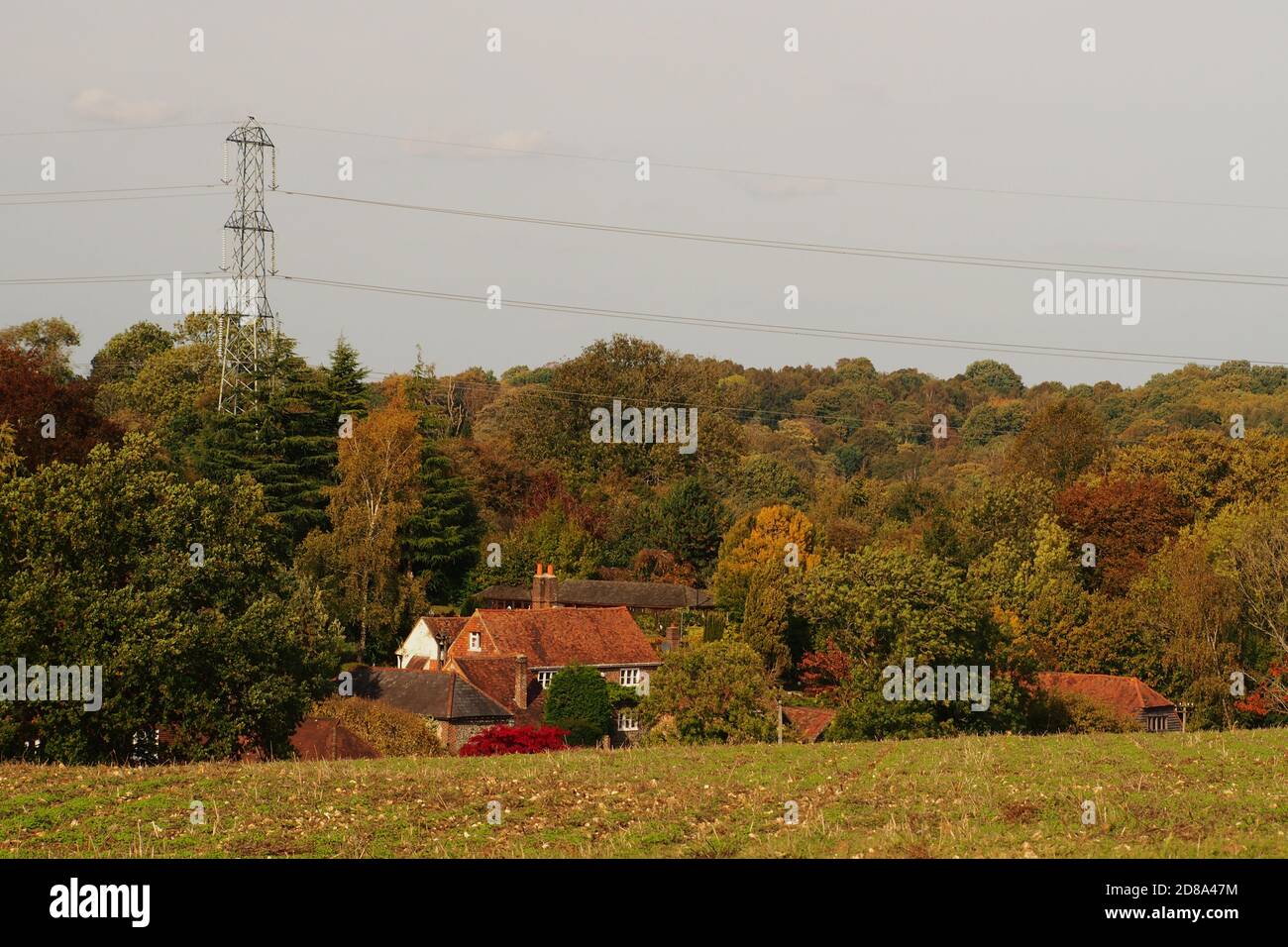 Una vista in basso che guarda su un campo d'autunno raccolto con una casa in lontananza, alberi e siepi di colore autunnale e un pilone elettrico Foto Stock