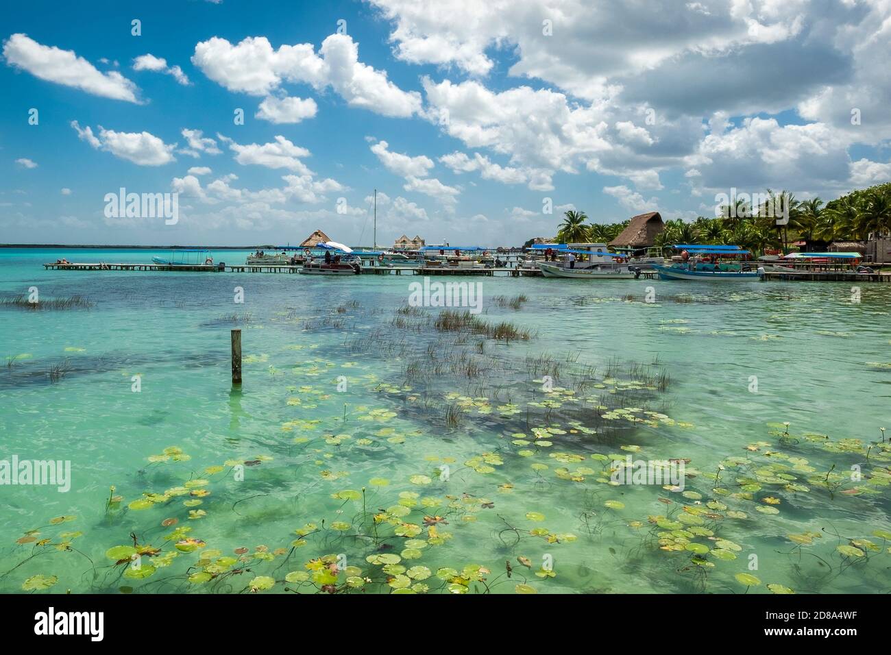 Bacalar, Yucatan, Messico - 10 marzo 2020: Vista sulla laguna di Bacalar, Quintana Roo, Messico. Conosciuta come la "Laguna dei sette colori", la freschezza Foto Stock