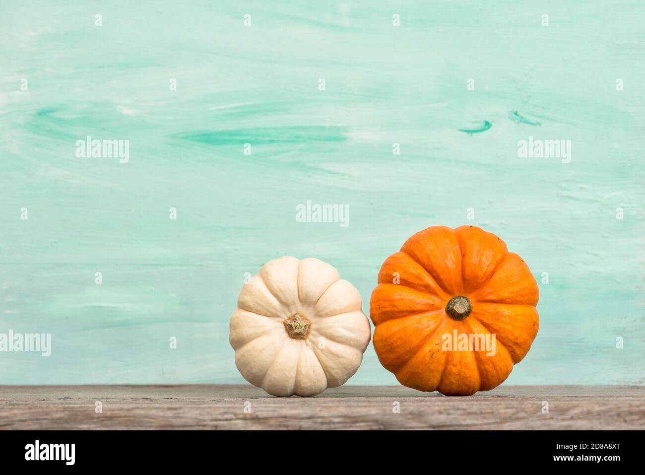 Decorazione della zucca. Sfondo autunno. Concetto di ringraziamento Foto Stock