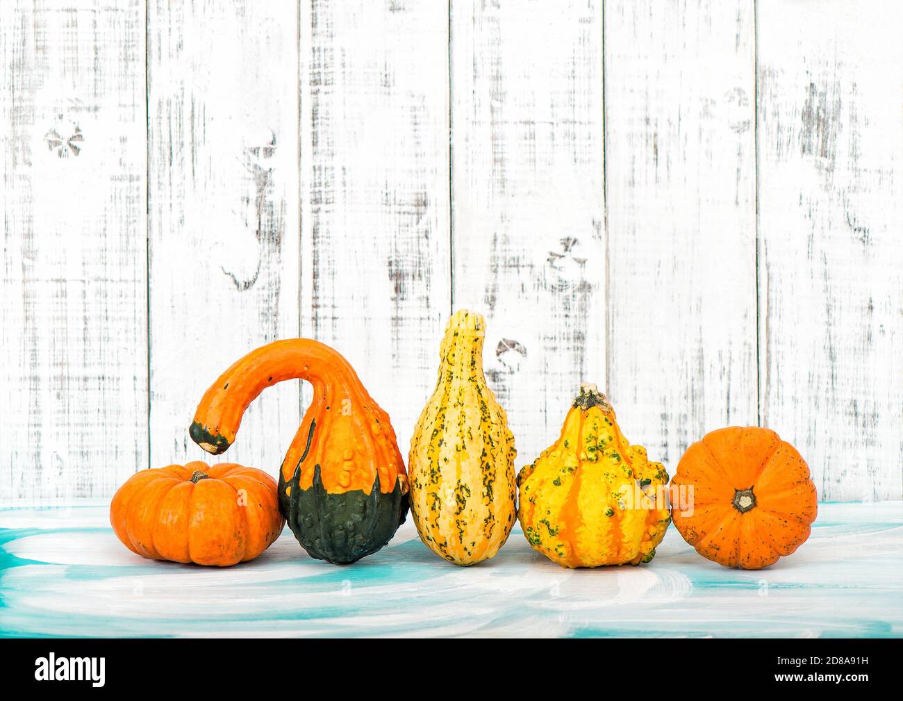 Zucca su sfondo bianco di legno. Autunno. Ringraziamento Foto Stock
