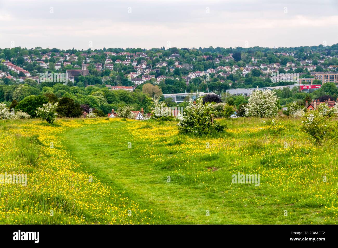 Farthing Downs, un'area di spazio aperto di proprietà della City che fa parte di una terra verde a sud di Londra. Foto Stock