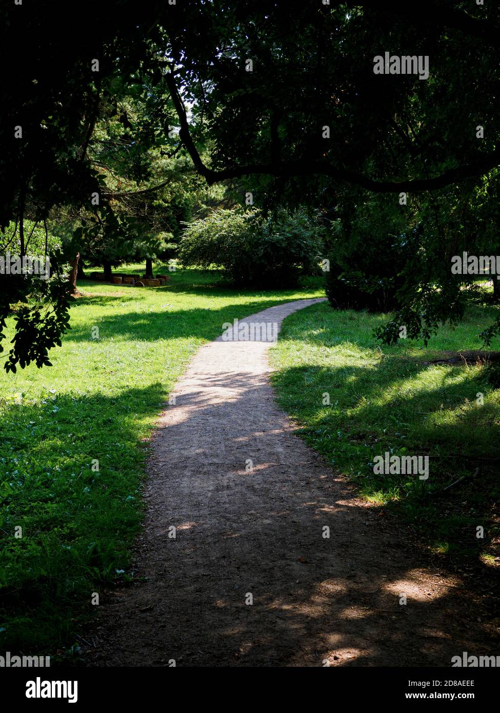 percorso giardino che si piega a destra intorno a un cespuglio, Regno Unito Foto Stock
