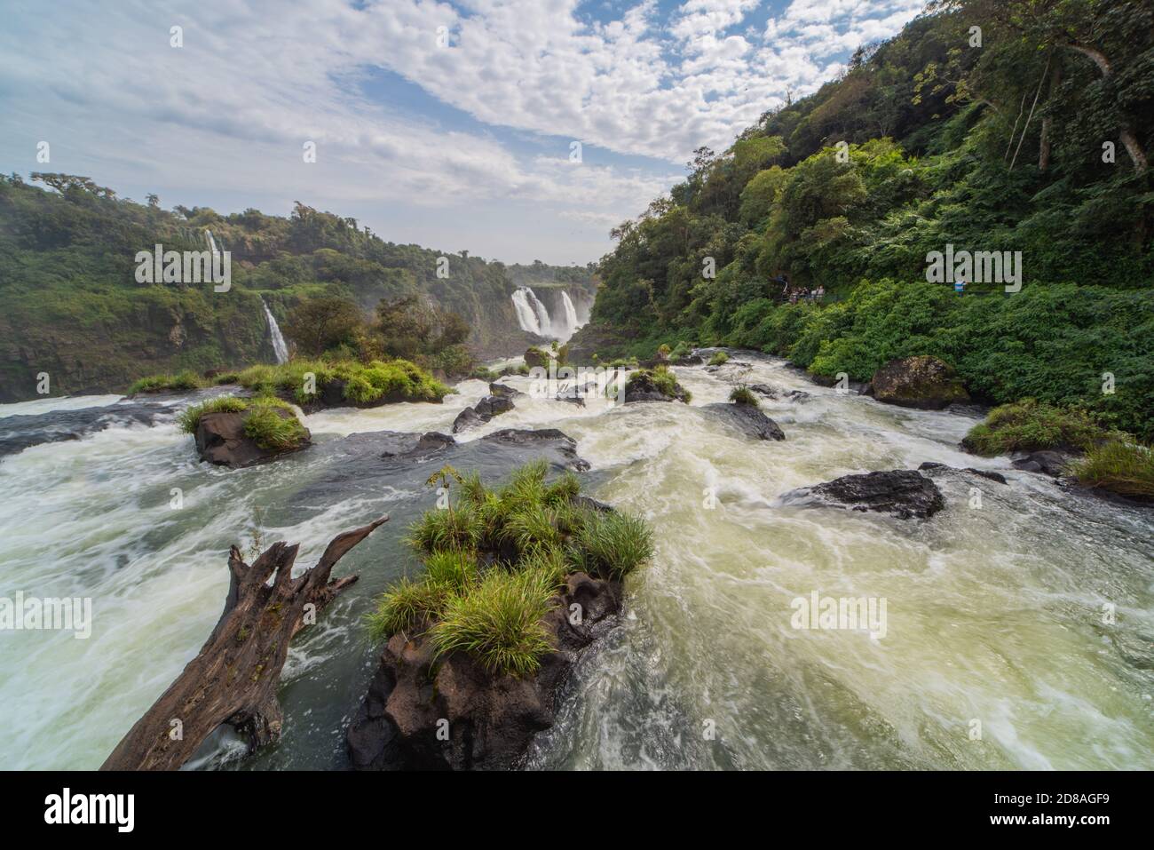 Vista pittoresca sulle cascate di Iguazzu in Brasile. Le cascate in diverse cascate su una lunghezza di 3 chilometri. In primo piano un arcobaleno. Foto Stock