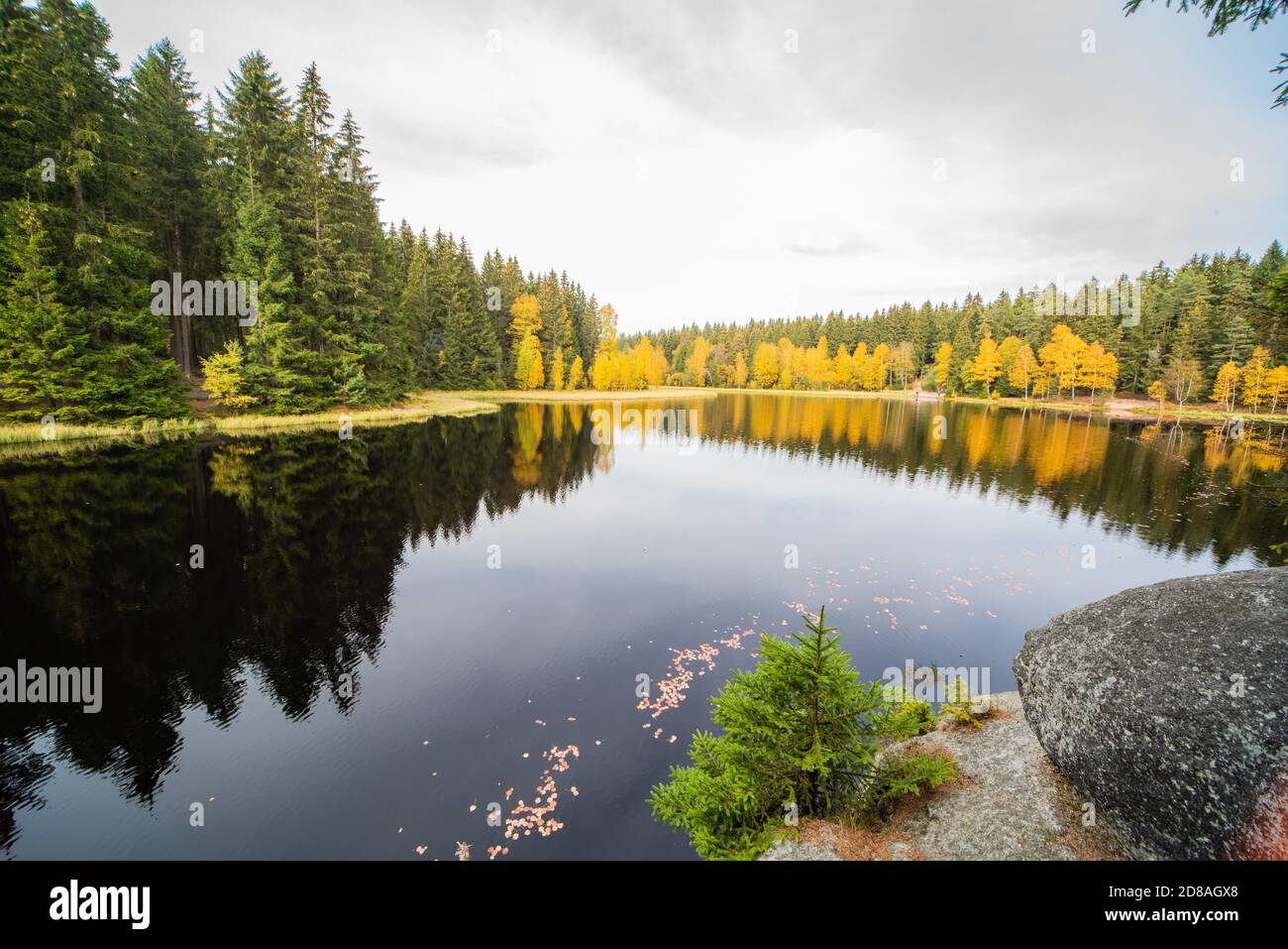 Vista pittoresca del lago Vogtland in autunno quando il tempo è chiaro. La scena si riflette nella superficie liscia dell'acqua. Foto Stock