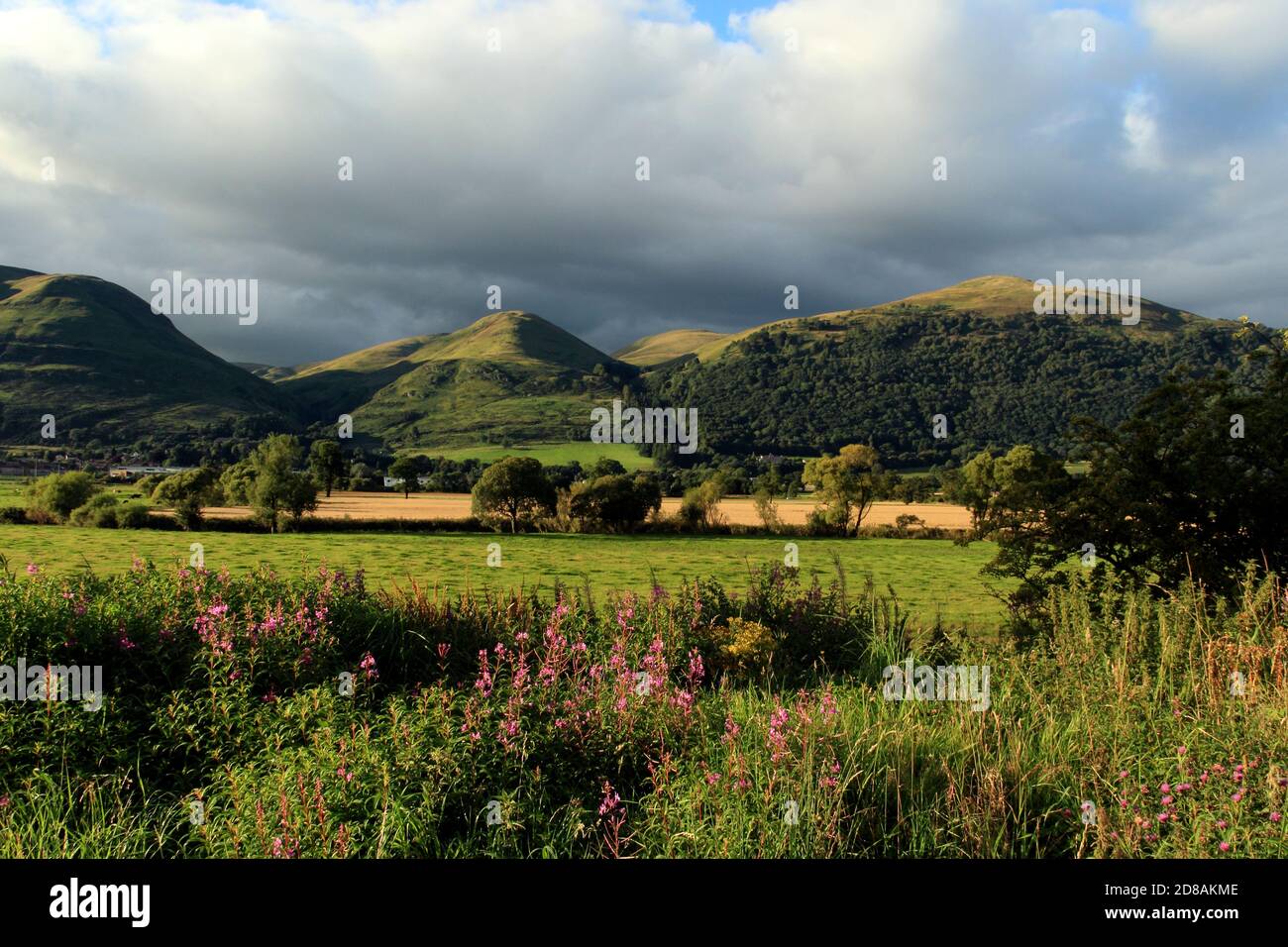Vista sulle Ochil Hills da Alloa, Stirling, Scozia, Regno Unito Foto Stock