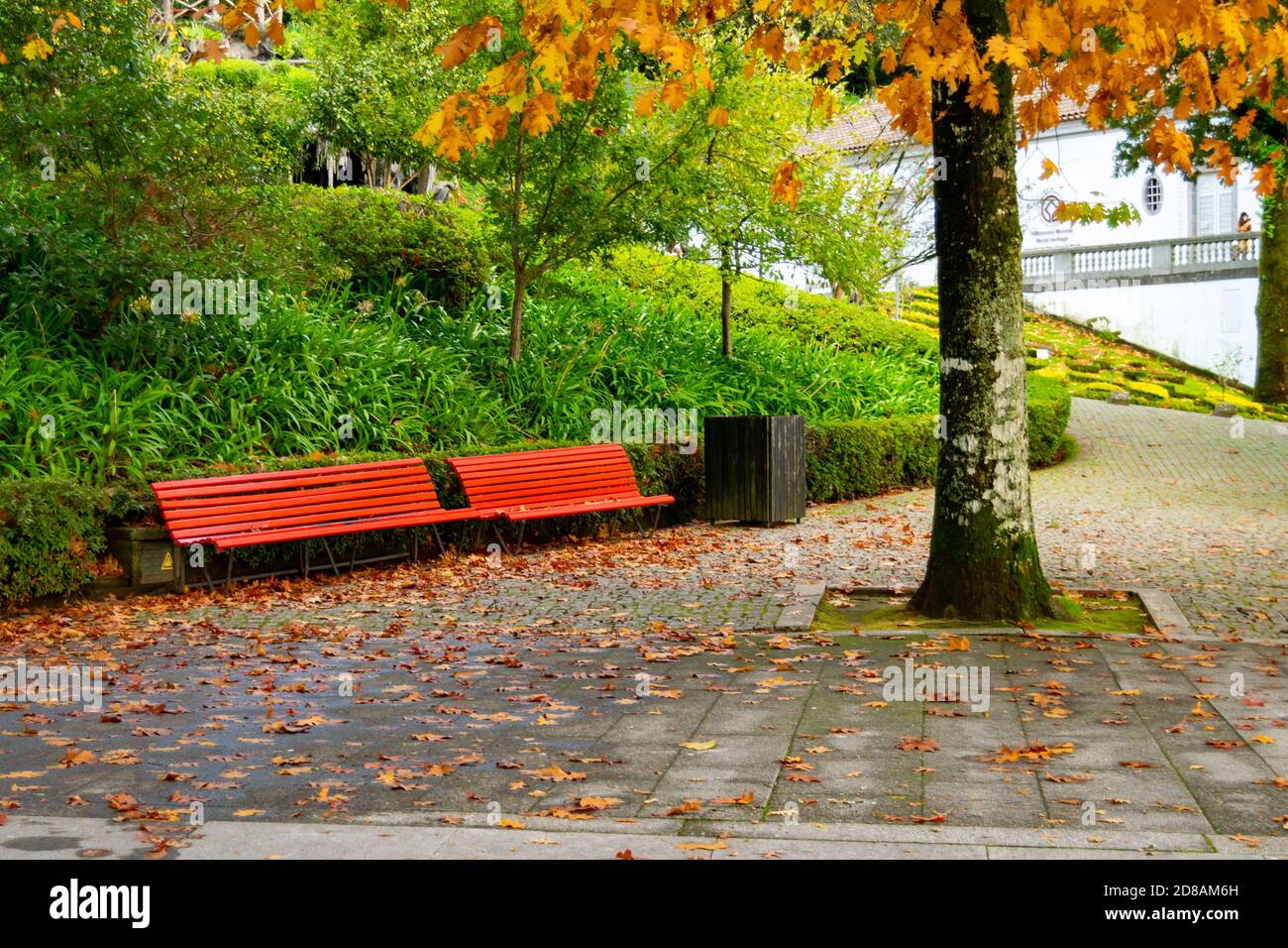 Red bench fondata a Bom Jesus do Monte a Braga città Portogallo, stagione autunnale. Vuota panca rossa all'aperto, amore amd buoni ricordi. Foto Stock