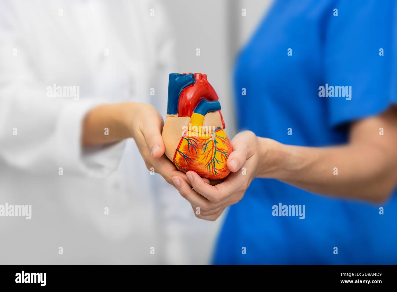 concetto medico assistenza sanitaria e supporto. medico e infermiere che tengono il cuore in mano, primo piano Foto Stock