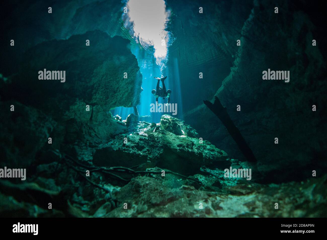 Cenote Scuba Diving a Riviera Maya, Messico Foto Stock