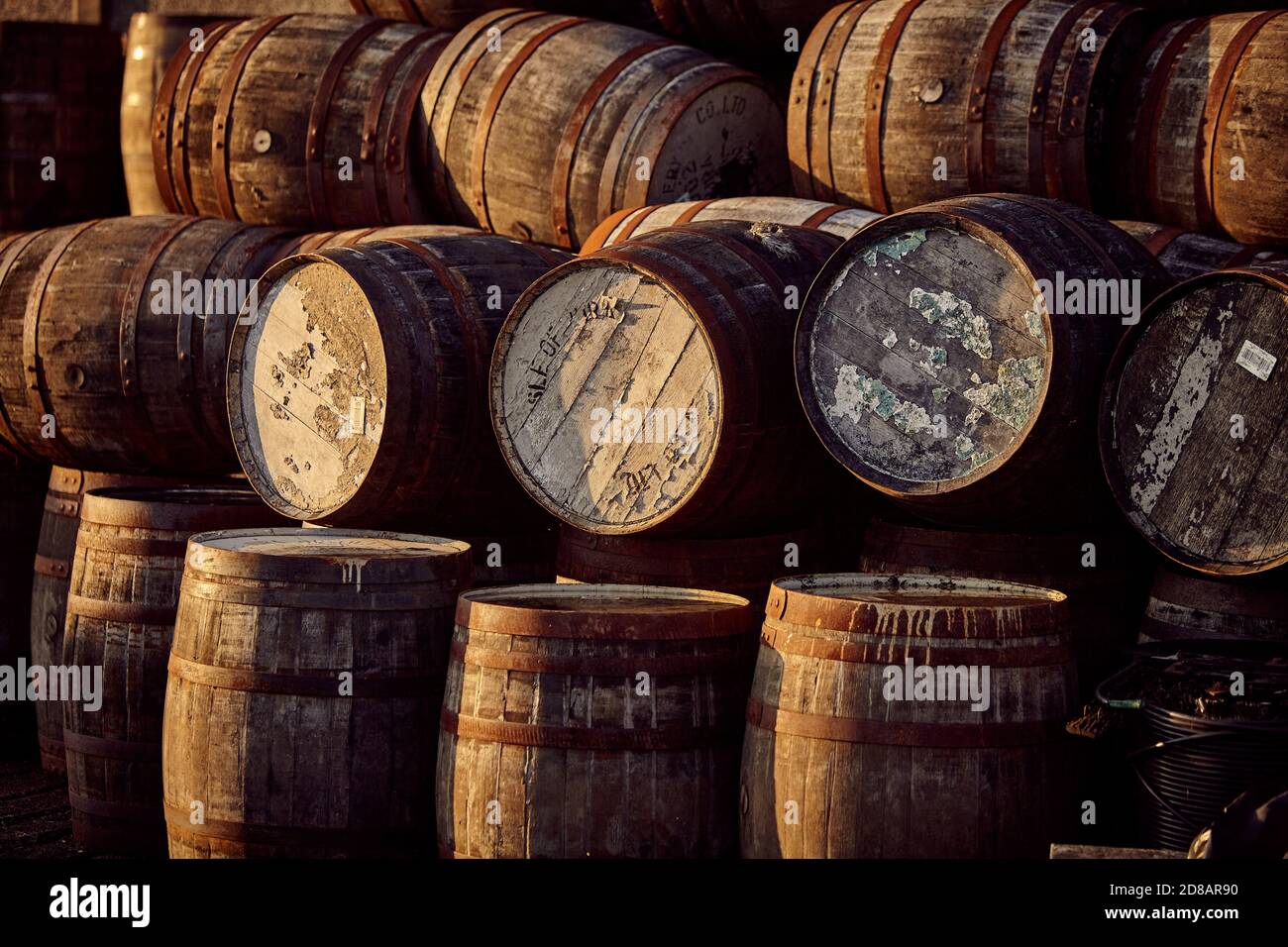 File di botti di whisky scozzese in un magazzino Foto Stock