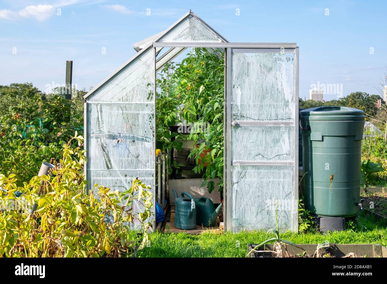 Una serra in un'assegnazione in estate Foto Stock