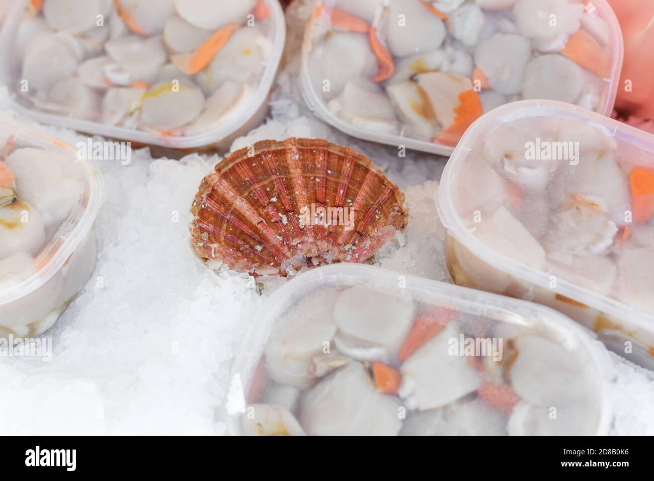 Capesante fresche su un mercato di pesce a Dieppe Francia Foto Stock