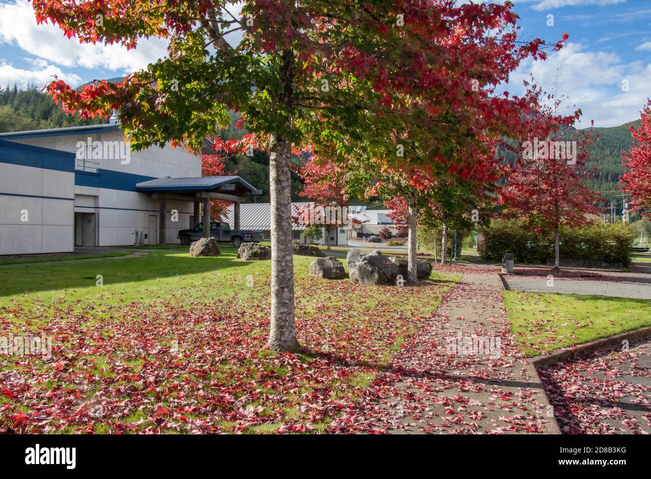 Sayward, Canada - Ottobre 7,2020: Vista di un parcheggio all'ingresso della scuola locale a Sayward, Canada con bus scolastico in background Foto Stock