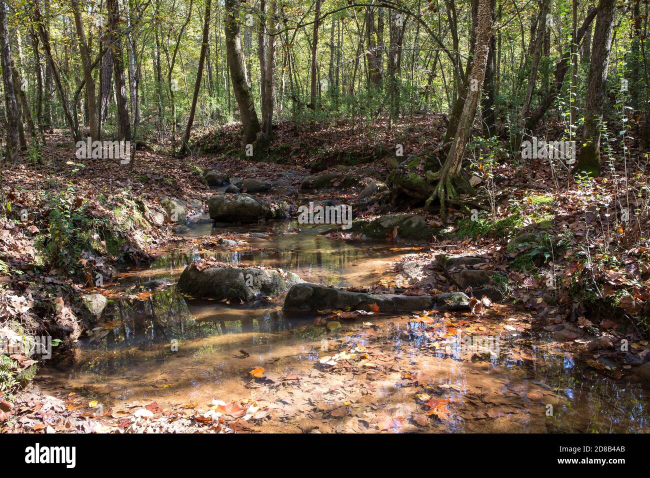 Un torrente roccioso con acqua limpida riflette la luce solare in una foresta. Foto Stock