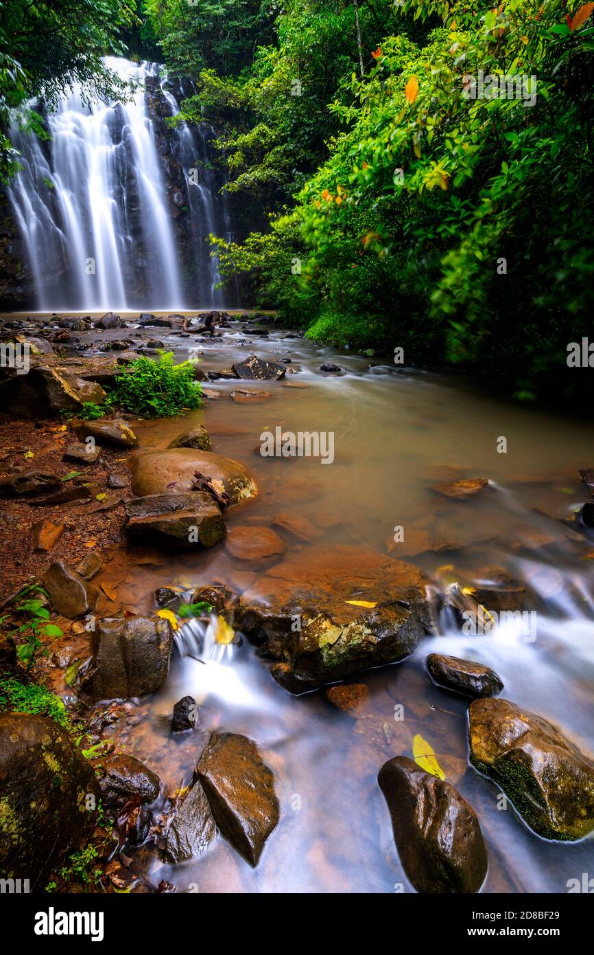 Cascate di Ellinjaa, Atherton Tablelands, Queensland del Nord, Australia Foto Stock