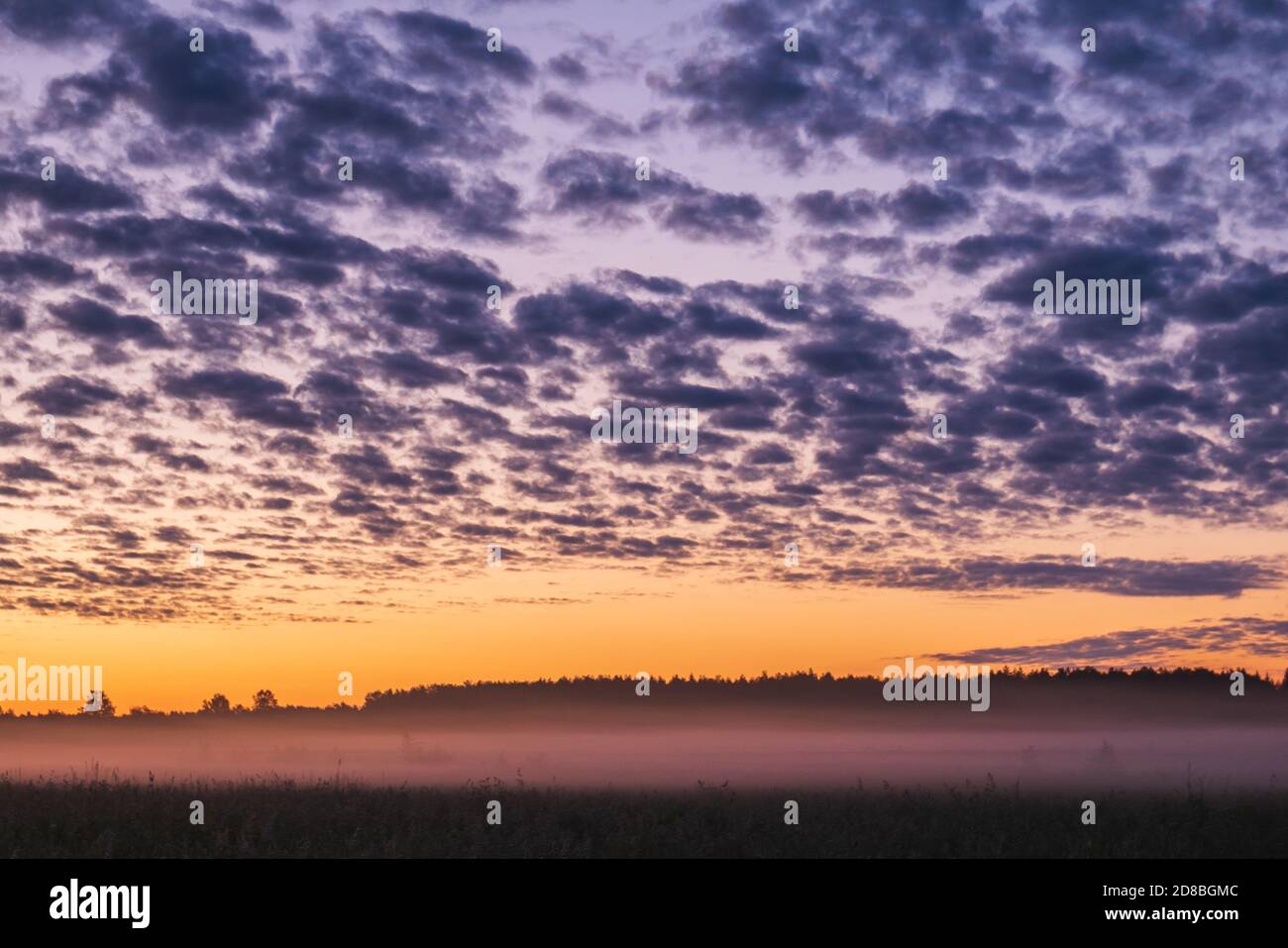 Tramonto arancione sullo sfondo della foresta. Foto Stock