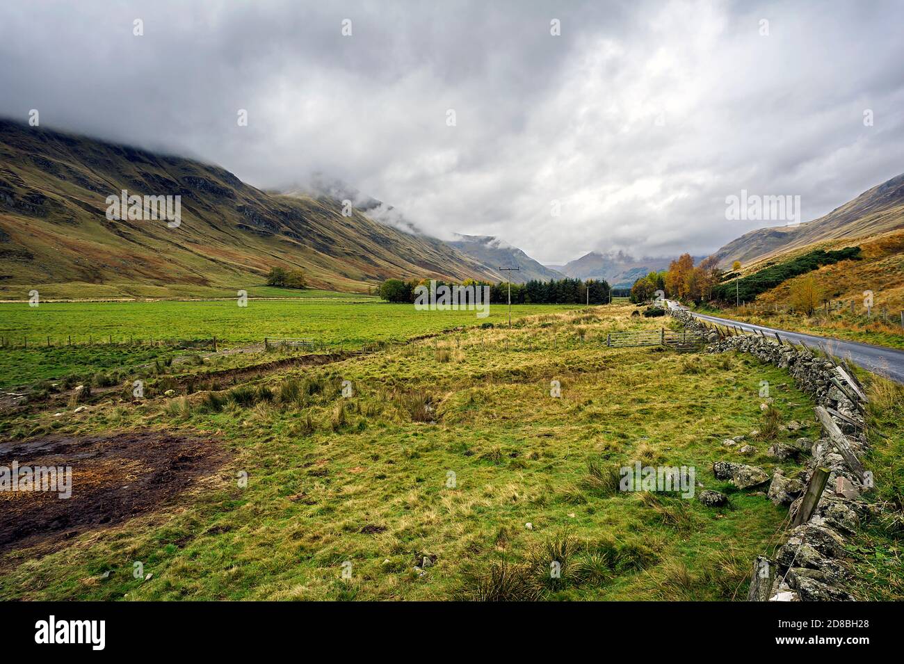 Immagine paesaggistica di cambiamenti di colore autunnali durante il giorno di sognatura in Glen Clova, Angus, Scozia, Regno Unito Foto Stock