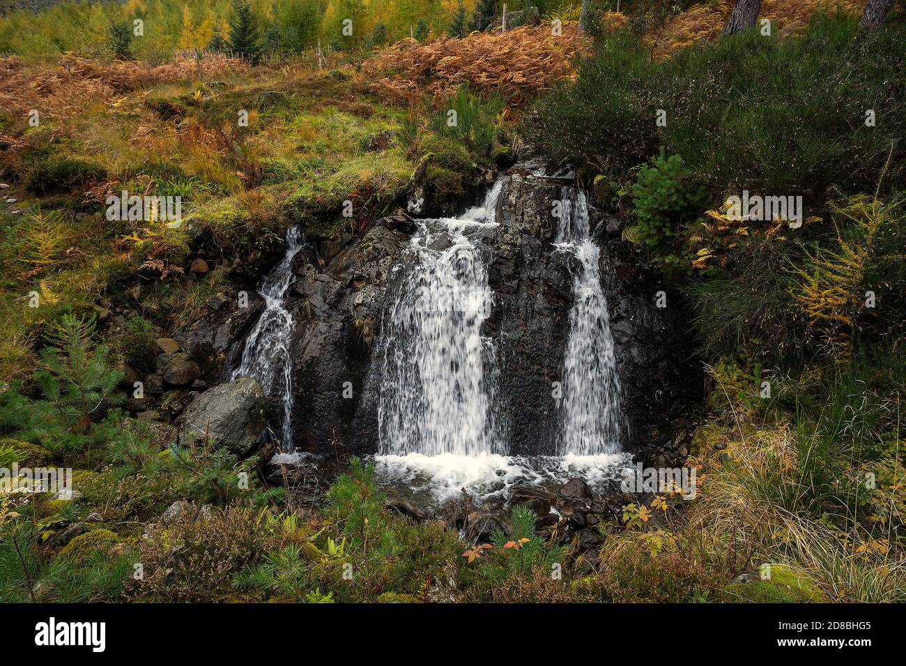 Piccola cascata circondata da cambiamenti di colore autunnali a Glen Clova, Angus, Scozia, Regno Unito Foto Stock