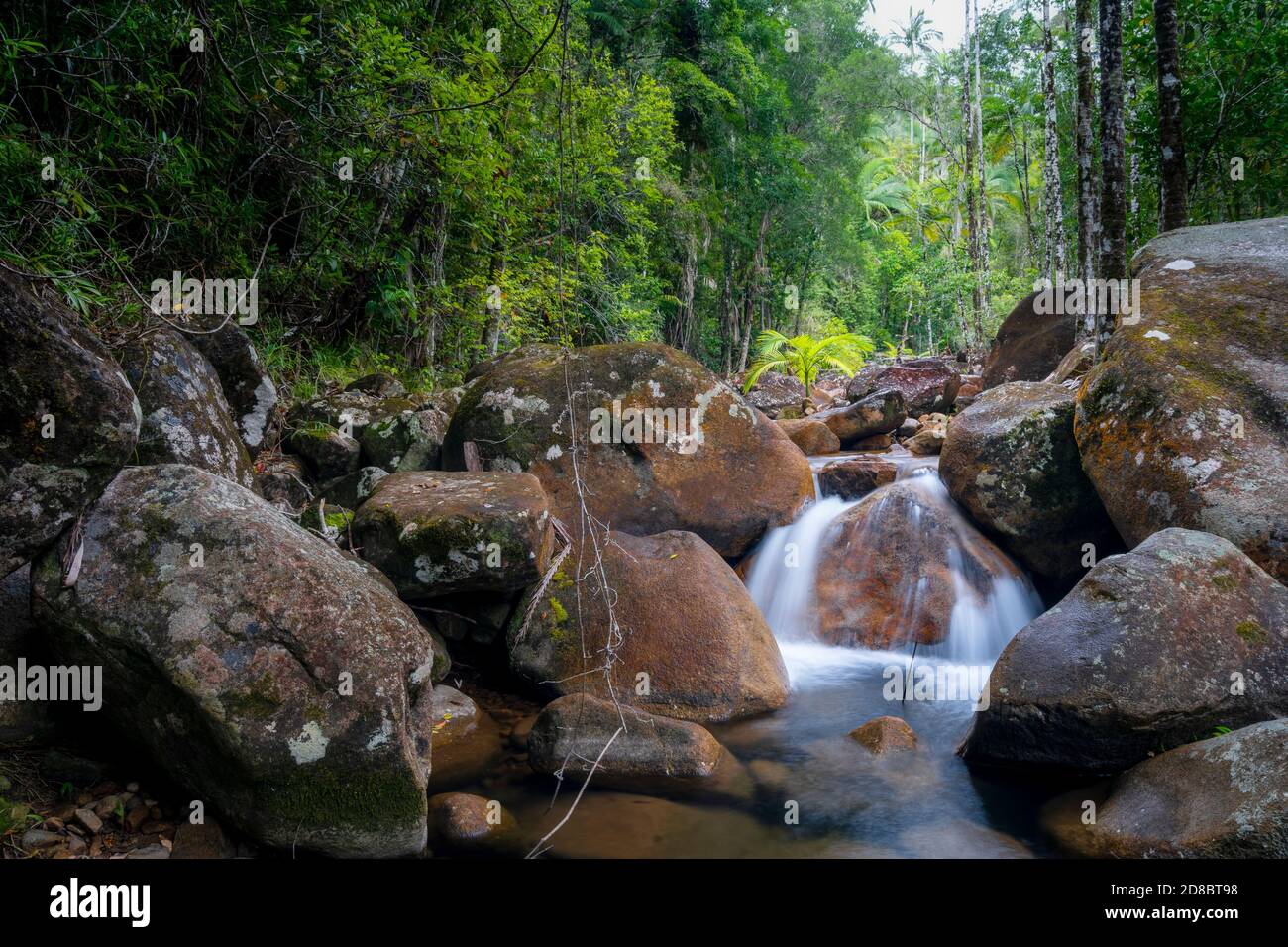 Piccola cascata tra massi in Finch Hatton Creek, Finch Hatton Gorge, North Queensland, Australia Foto Stock