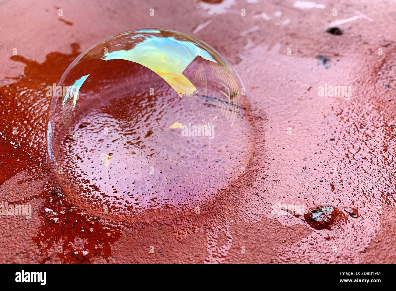 La bolla di sapone si trova su una superficie di mattoni rossi. Superficie trasparente saponata con riflessi e colori arcobaleno Foto Stock