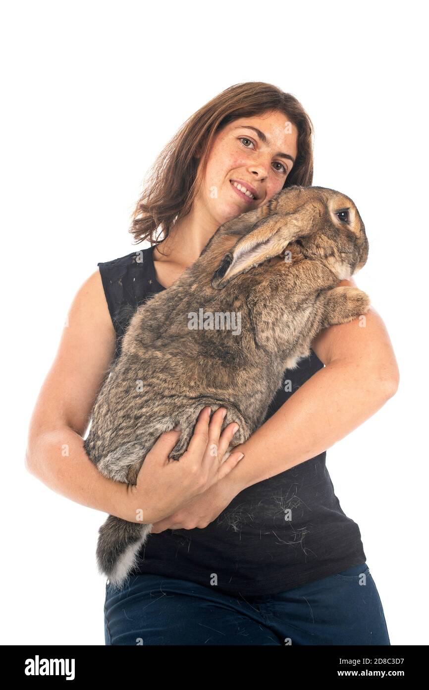 Fiammingo coniglio gigante e donna di fronte a sfondo bianco Foto Stock