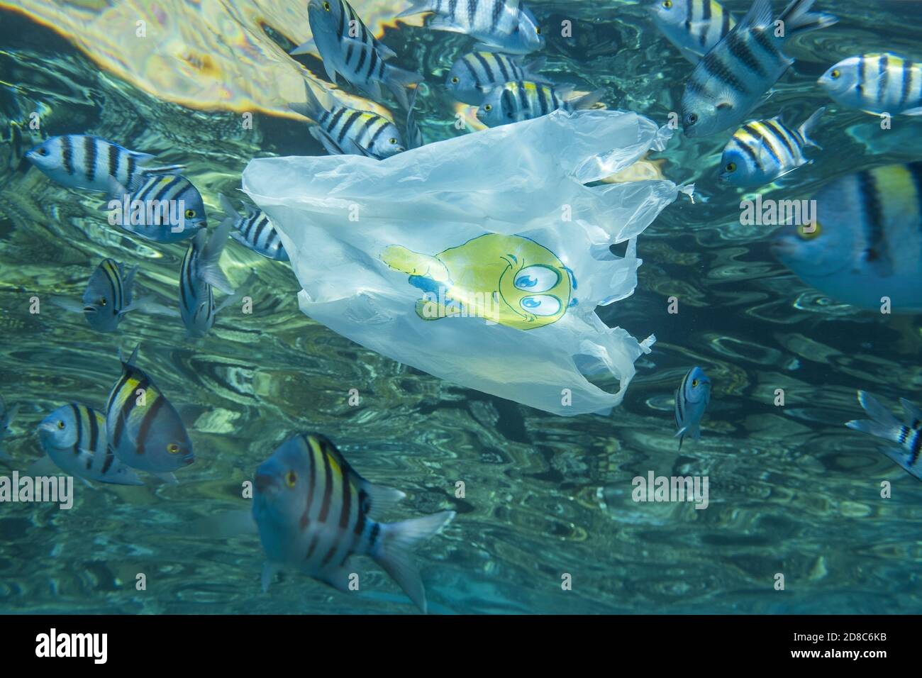 Inquinamento plastico, primo piano di sacchetto di plastica bianca con sorriso giallo che lentamente deriva sotto la superficie dell'acqua con la scuola di pesci tropicali. Foto Stock